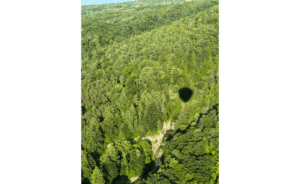 Shadow of our hot air balloon, over Buttermilk Falls in Ithaca, NY