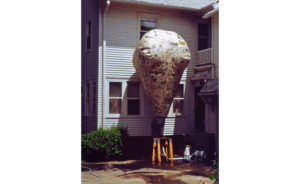 Paul Fromm's hot air balloon, made from newspaper, ready to launch from his home in Shorewood, WI