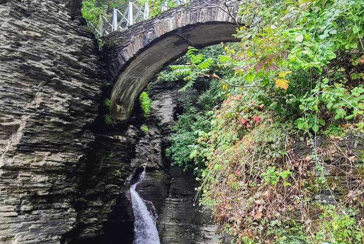 A large gorge in the woods with a curved bridge and waterfalls