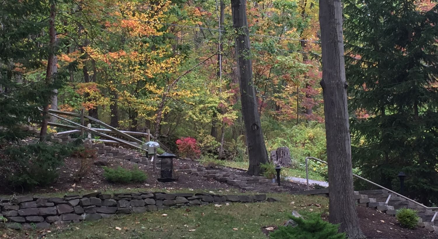 A set of stairs with a railing going up a path and driveway in the woods with stone wall