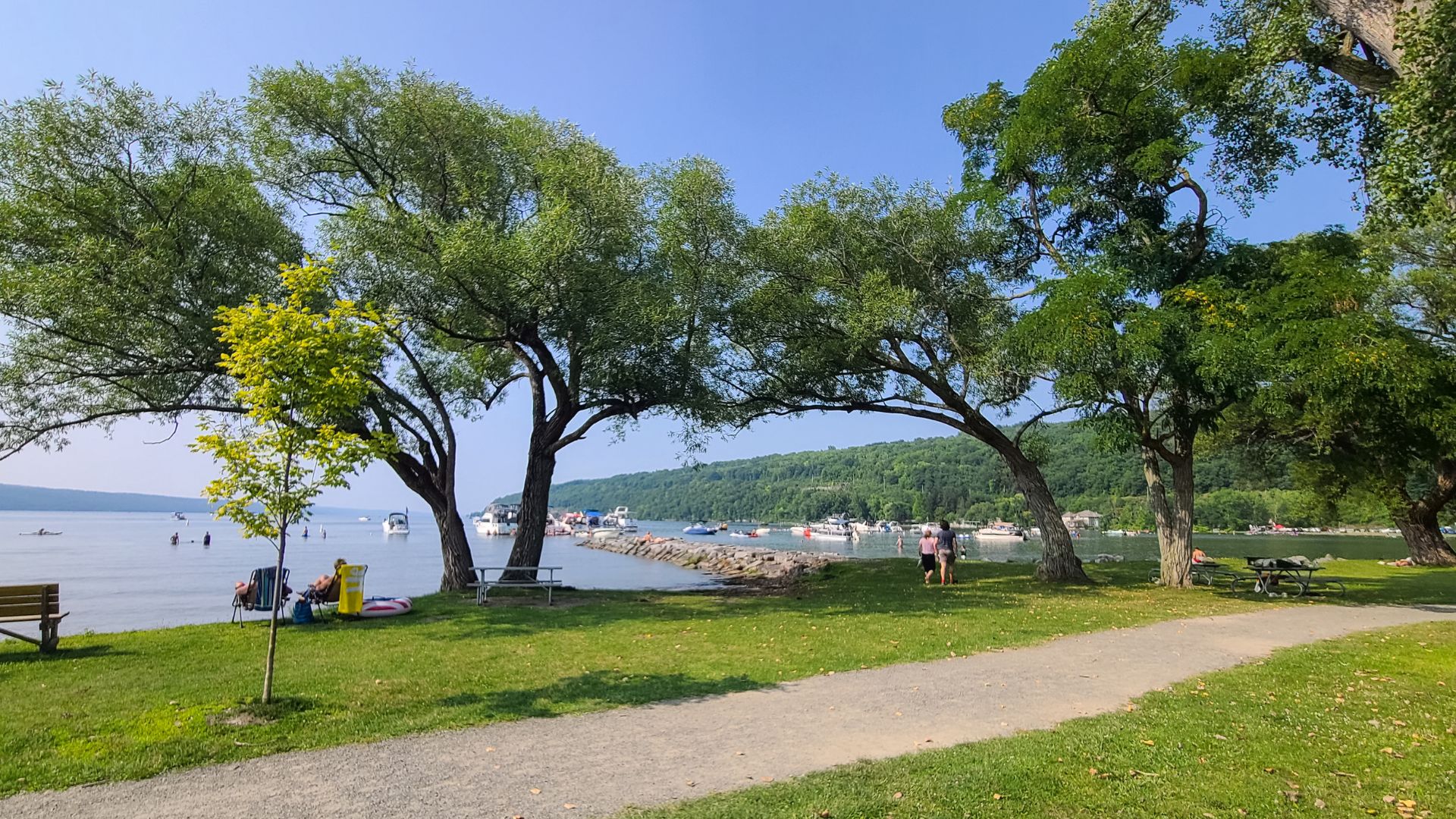 A large waterfront park with a path, tall trees and boats anchored near shore