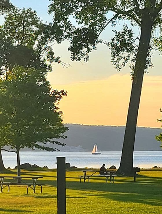 A single white sailboat on a lake next to a grassy area with trees and picnic tables