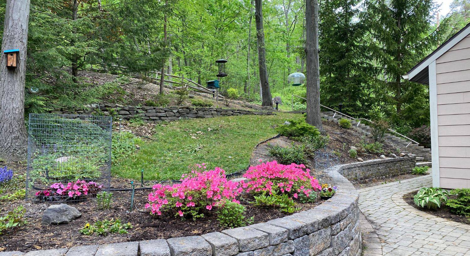 A hillside of landscaping with bright pink flowers and bushes and curved stone wall next to a home