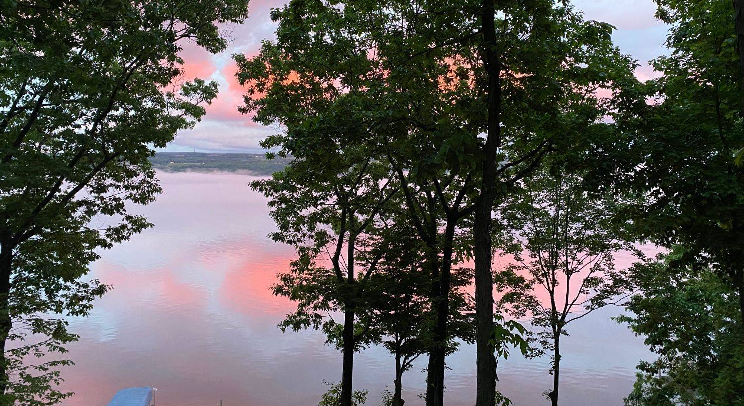 View of a lake through trees at sunset with a blue and pink sky reflecting on the water